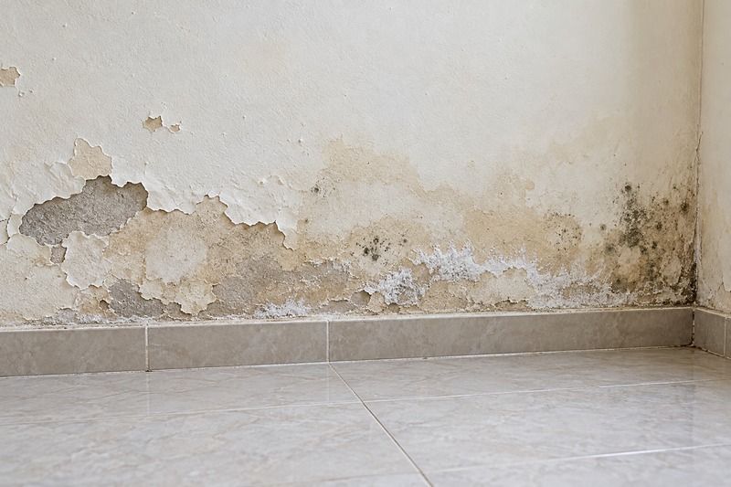 Xử lý chân tường bị ẩm mốc bong tróc